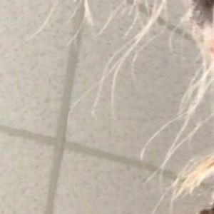 Meet your Posher, Vicky